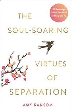 The Soul-Soaring Virtues of Separation: 111 Learnings to Heal Your Heart and Help You Fly