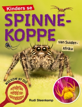 Kinders se spinnekoppe van Suider-Afrika