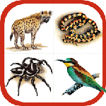 Wildlife of Southern Africa